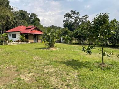 Tanah dusun buah ada anak sungai sesuai campsite Hulu Langat ‼️