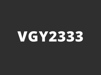 VGY2333