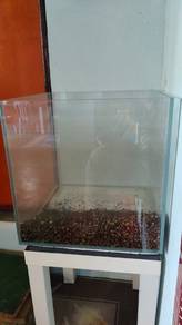 aquarium 