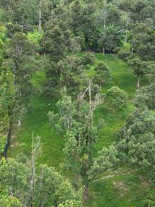 Broga Land for Sale