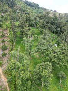 Broga Land for Sale