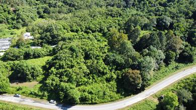 Roadside Agriculture Land Sungai Rait Miri