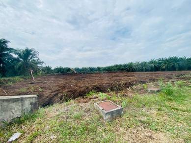 Agricultural-Land-for-sale-Banting-Selangor