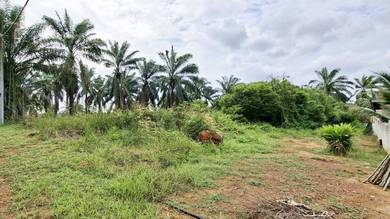 (Nonbumi) Tanah untuk dijual di Kg Tersusun Datuk Mohd Hidhir Jasin