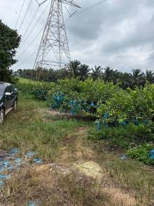 Yong Peng 8 Acres Land