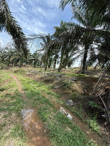 Yong Peng 21.6 Acres Land