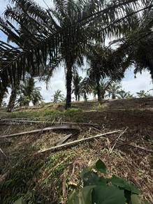 Yong Peng 21.6 Acres Land