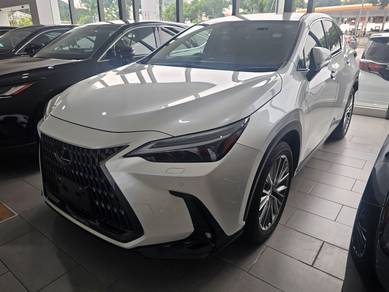 Lexus NX250 2.5 LUXURY MY22 (A) WHITE