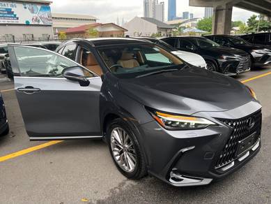 Lexus NX250 2.5 LUXURY Mark Levison P-Roof 5A
