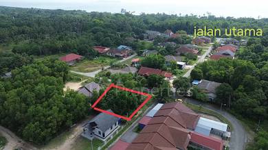 Alur Tuman❗Kelulut Gred AA