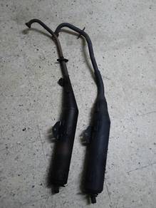 Ekzos Standard Y15