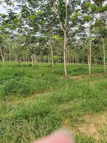 Bekok Rubber land 8.974 ekar for sales