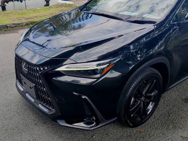 Lexus NX 250 2.5 LUXURY (A)