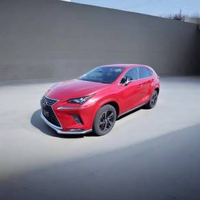 Lexus NX300 2.0 SPICE&CHIC (A) Full Spec