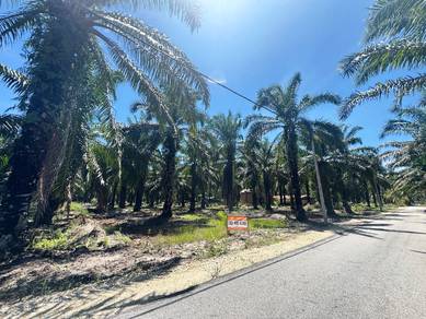 Tanah Freehold 3 Ekar sebelah jalan di Batu 8, Lekir