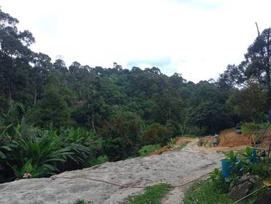 3 lot agriculture land sungai ara 1st grade land