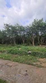 By the sea freehold land for sale 13.35 Acres  @ Port Dickson