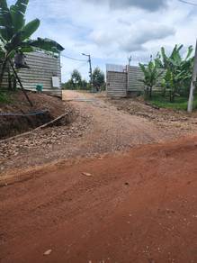 Musang King Land Kluang Johor