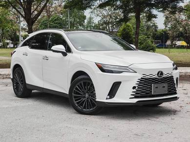 Black+brown interior, 2023 Lexus RX350 2.4 LUXURY
