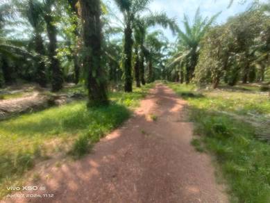 Tanah Lot Bungalow 2300 kps Sungei Rambai Jasin