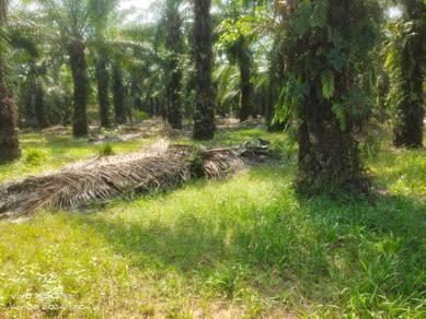 Tanah Lot Bungalow 2300 kps Sungei Rambai Jasin