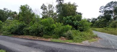 Tanah 1.4 ekar Kg Nyiur Dungun.