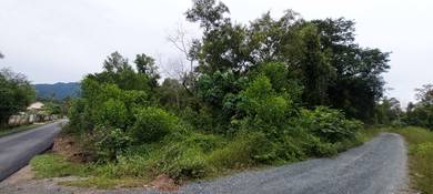 Tanah 1.4 ekar Kg Nyiur Dungun.