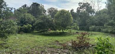 TANAH KEBUN 0.9980 EKAR Batang Benar, Negeri Sembilan