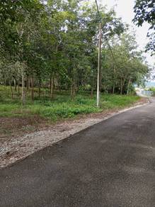 TANAH PERTANIAN SANGAT LUAS 9.3 Ekar, Pekan TAMPIN