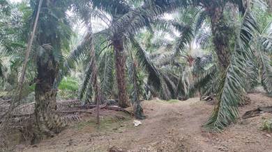 Land for sale