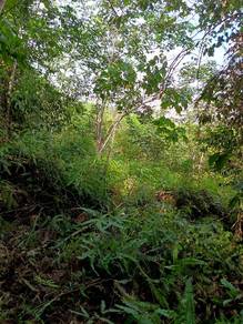 Tanah kebun getah 6.00 ekar freehold rezab melayu 