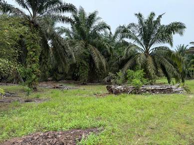 Agricultural Land Seri Medan