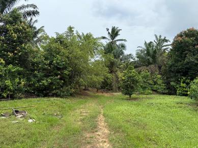 Agricultural Land Seri Medan