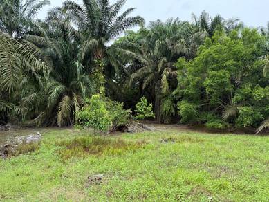 Agricultural Land Seri Medan