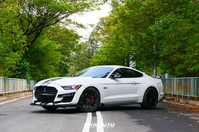 Ford MUSTANG 5.0 GT FASTBACK 5.0 V8 SHELBY BODYKIT