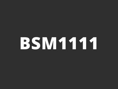 BSM1111