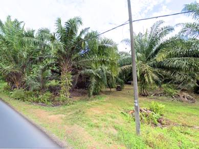 Tanah Kelapa Sawit Sungai Panjang 3.24 ekar , Sabak Bernam