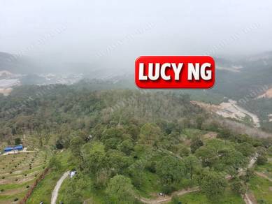 8.73 acres | Well Maintained | Mountain Land | Durian Farm | Junjung b