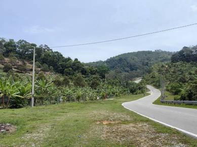 3.12 Acres Freehold Durian Farm Facing Mainroad Titi Kuala Klawang