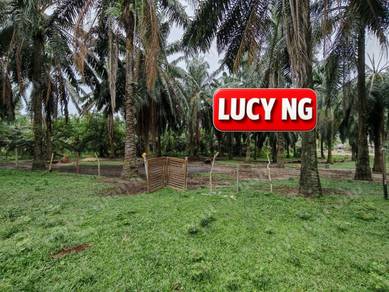 3.614 acres | Agricultural land | Sidam Kanan | Padang Serai | Kedah d