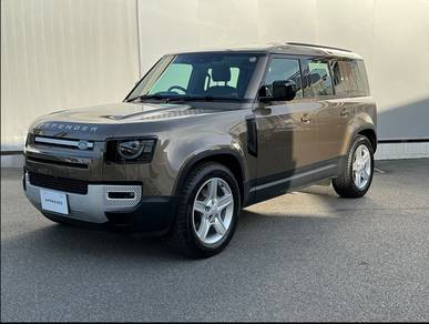 Land Rover DEFENDER 2.0 110 P300 SE (A)