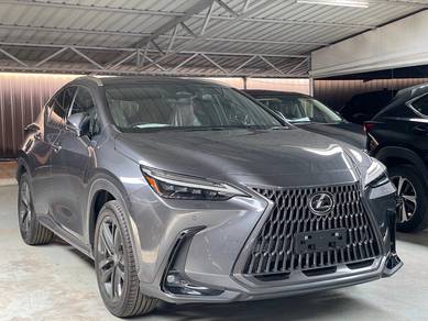 Lexus NX 250 2.5 Version L ---Grade 5A---