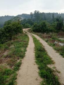 Tanah Pertanian Di Pantai, Seremban