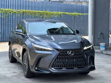 Lexus NX 250 2.5 BASE *GREY