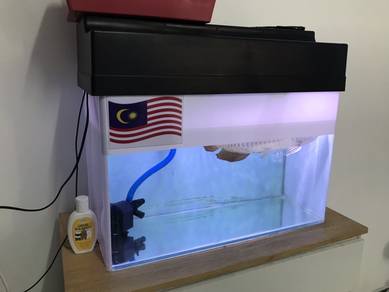 Aquarium Curve
