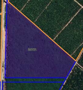 Tanah Industri 60 Ekar Sepang Untuk Dijual