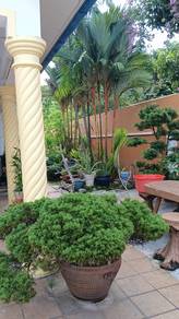 Double Storey Bungalow Tambum Permai