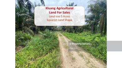 5 Acres Agricultural Land, Freehold, Non Bumi @Mukim Ulu Benut, Kluang