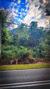 Tanah bukit Bt 6 Kodiang utk jual