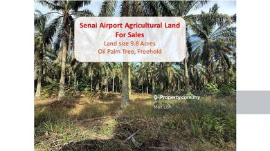 Freehold Agricultural Land With 9.8 Acres @ Senai Airport City, Johor